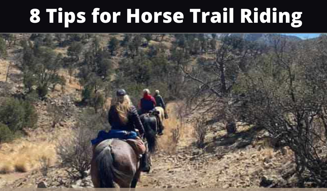 8 tips for Horse Trail Riding
