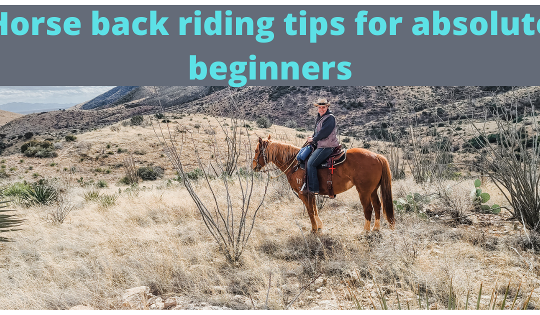 Horseback riding tips for absolute beginners